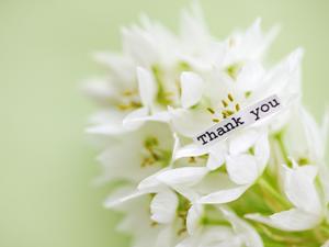 通販で買えるブランド価値の高いお米