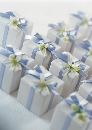 プロポリス効果や効能とは何なのか